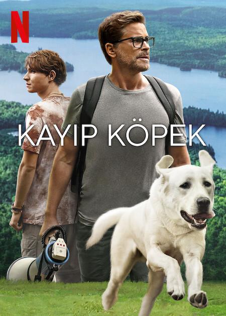 ﻿Kayıp Köpek izle